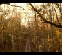 OuterBanks208_0941.jpg