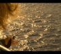 OuterBanks210_0304.jpg