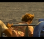 OuterBanks210_0397.jpg