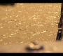 OuterBanks210_1151.jpg