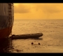 OuterBanks210_1244.jpg