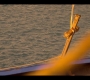 OuterBanks210_1257.jpg
