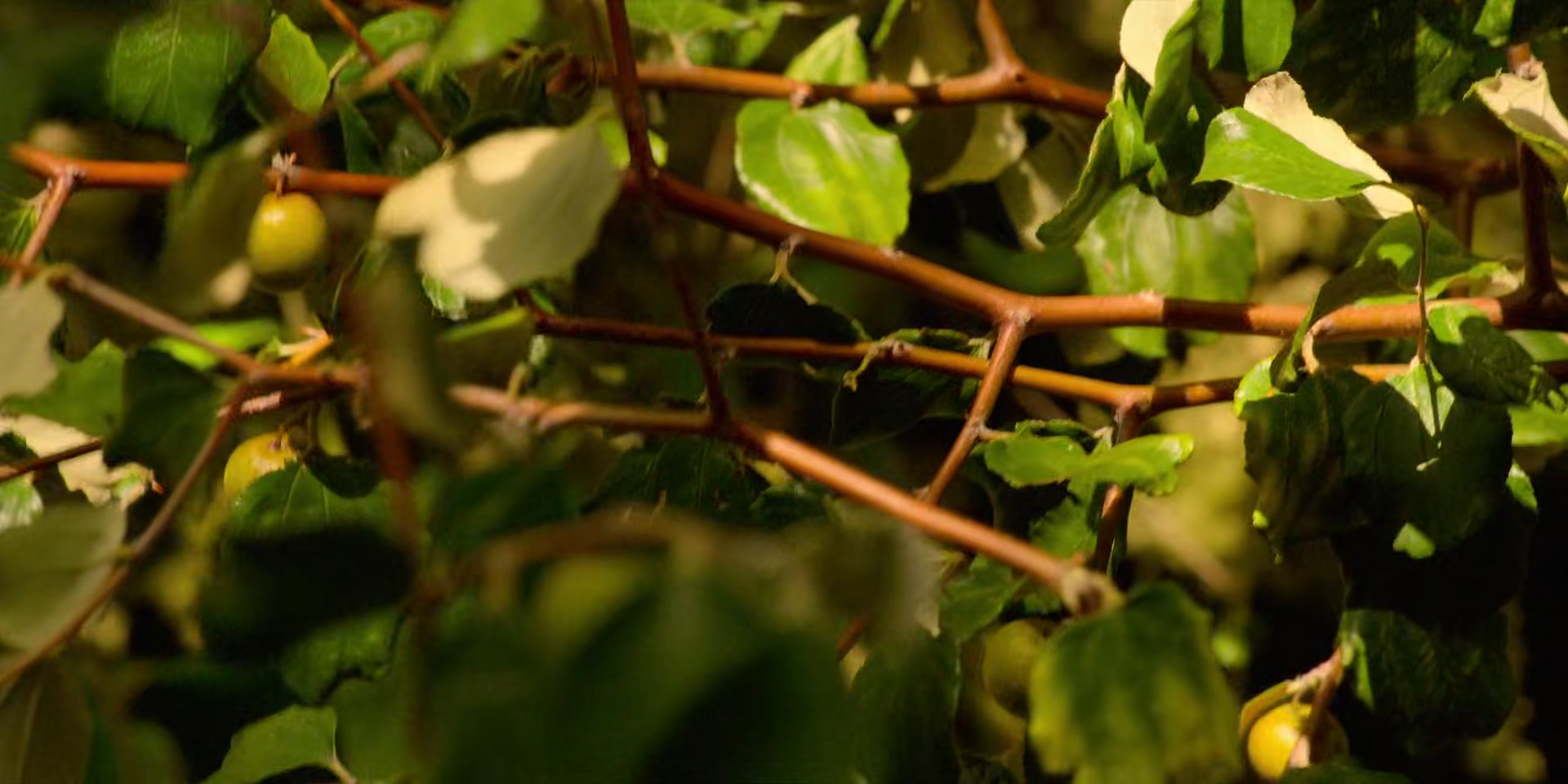 HOTN1_0143.jpg