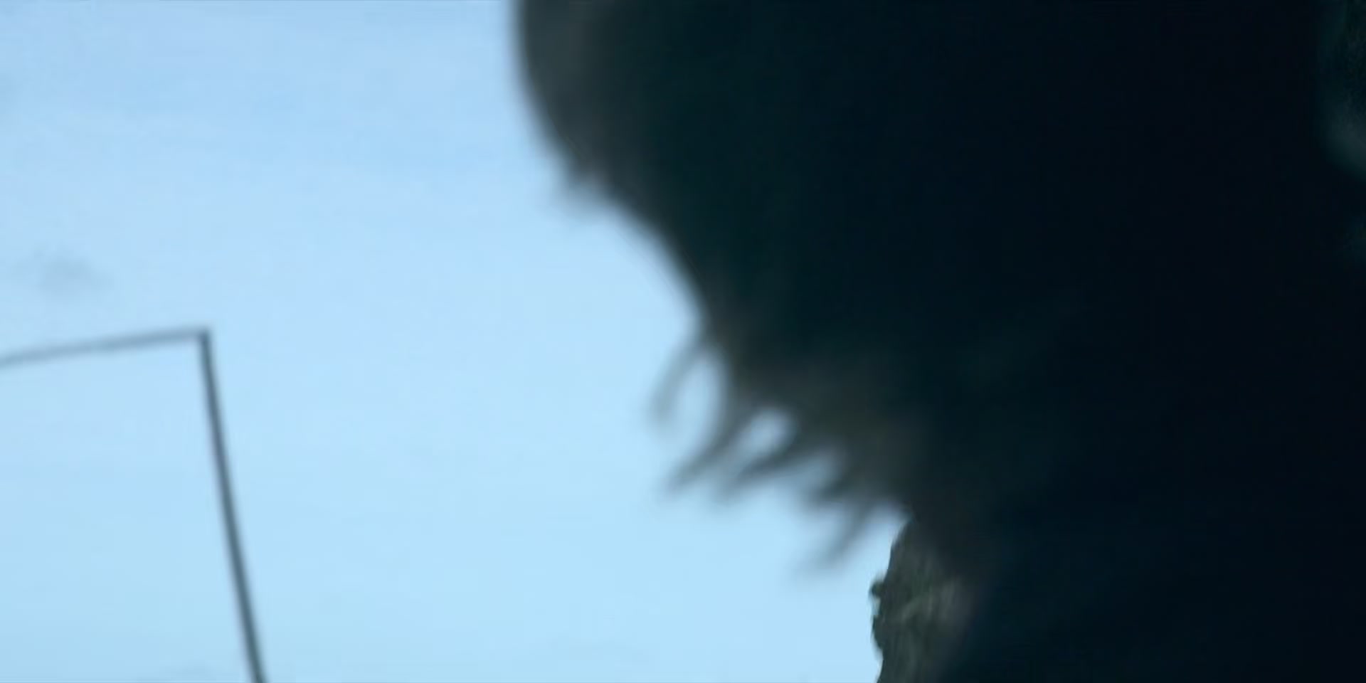 HOTN1_0298.jpg