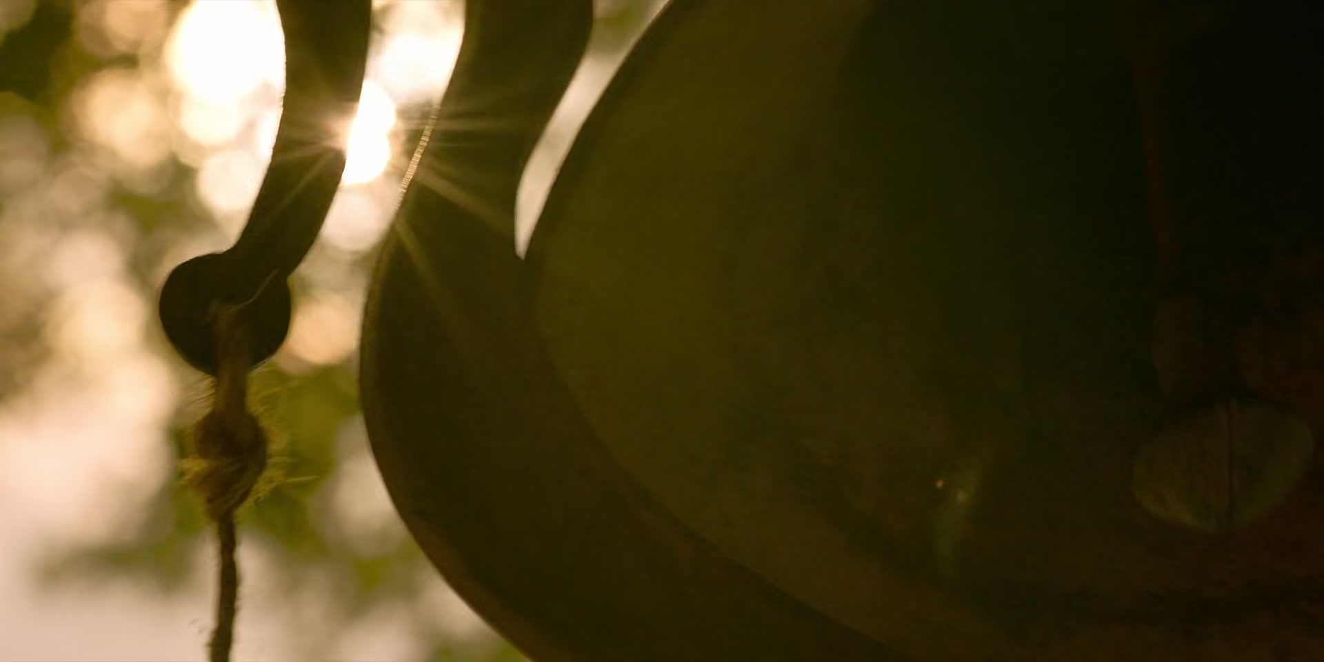 HOTN1_0914.jpg