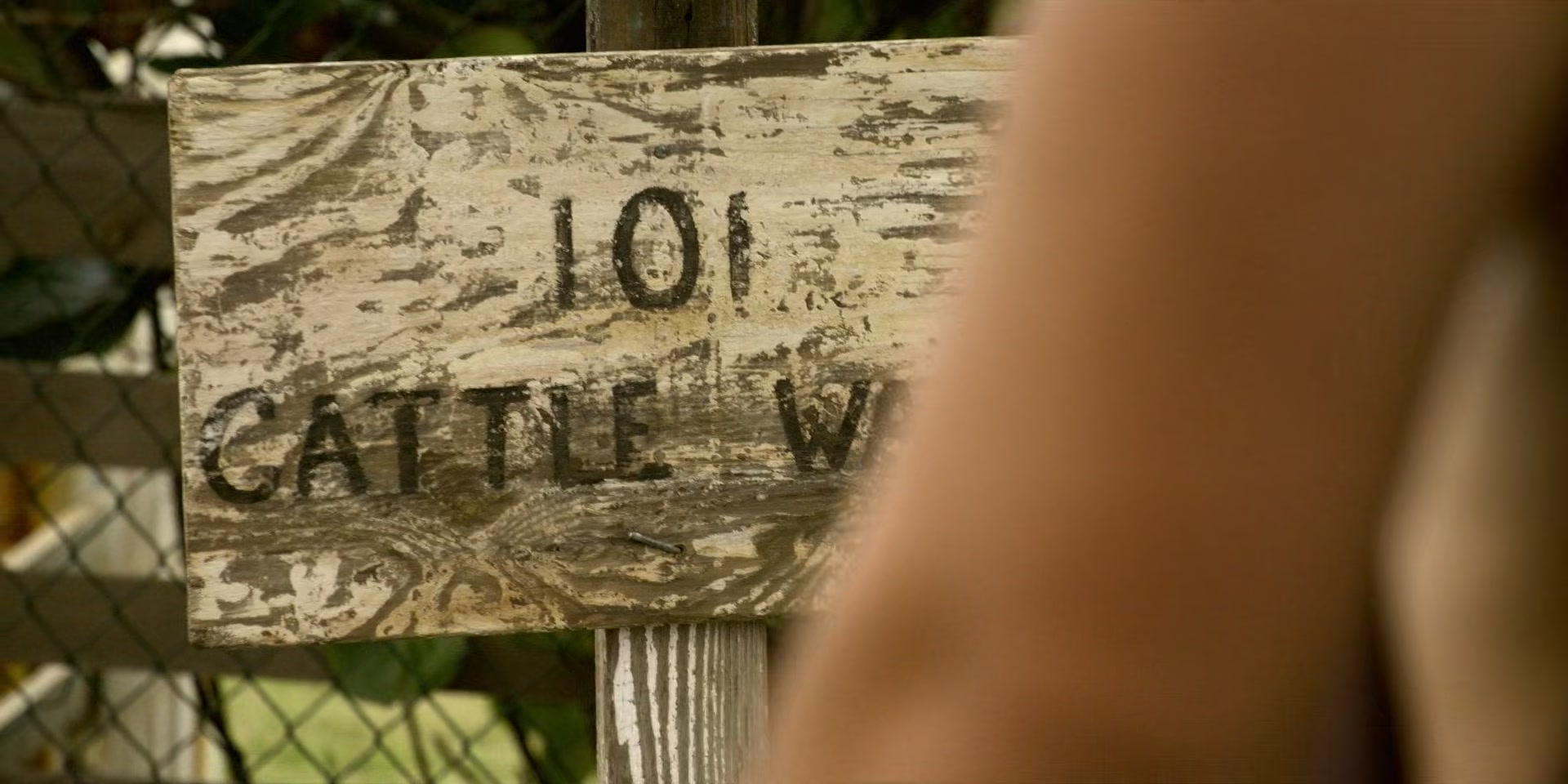HOTN1_0936.jpg