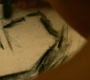 HOTN1_0077.jpg