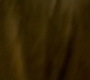 HOTN1_0237.jpg