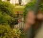 HOTN1_0803.jpg