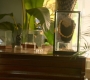 HOTN1_0820.jpg
