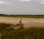 Filename=HOTN1_0917.jpg
Filesize=277KiB
Dimensions=1920x960
Date added=Mar 09, 2023 HOTN1_0917.jpg