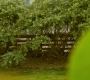 Filename=HOTN1_0990.jpg
Filesize=296KiB
Dimensions=1920x960
Date added=Mar 09, 2023 HOTN1_0990.jpg