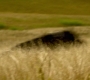 Filename=HOTN1_1317.jpg
Filesize=96KiB
Dimensions=1920x960
Date added=Mar 09, 2023 HOTN1_1317.jpg