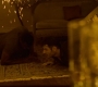 HOTN10_0229.jpg