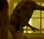 HOTN10_0230.jpg