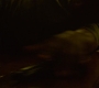 HOTN10_0243.jpg