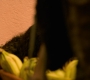 HOTN10_0321.jpg