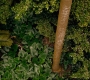 HOTN10_0638.jpg