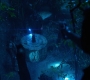 HOTN10_0916.jpg