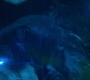 HOTN10_0963.jpg