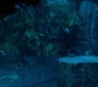 HOTN10_0967.jpg
