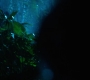 HOTN10_0973.jpg