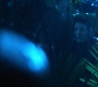 HOTN10_0976.jpg