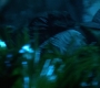 HOTN10_0995.jpg