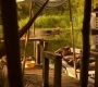 HOTN10_1023.jpg