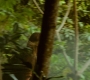 HOTN10_1057.jpg