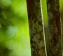 HOTN10_1317.jpg