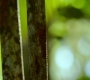HOTN10_1324.jpg
