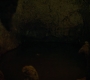 HOTN10_1325.jpg