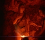 HOTN10_1426.jpg
