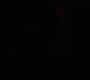 HOTN10_1428.jpg