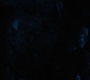 HOTN10_1431.jpg