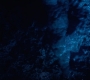 HOTN10_1433.jpg