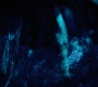 HOTN10_1436.jpg