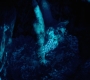 HOTN10_1437.jpg