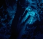 HOTN10_1440.jpg
