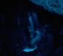 HOTN10_1442.jpg