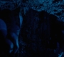 HOTN10_1444.jpg