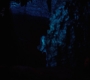 HOTN10_1446.jpg