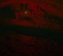 HOTN10_1466.jpg