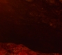 HOTN10_1469.jpg