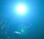 HOTN10_1494.jpg
