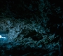 HOTN10_1495.jpg