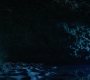 HOTN10_1545.jpg