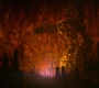 HOTN10_1585.jpg