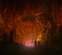 HOTN10_1586.jpg